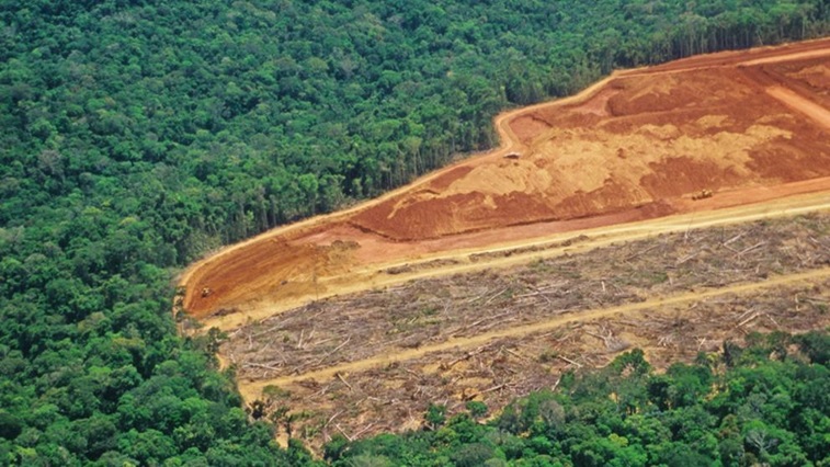 Una zona talada en las montañas de la provincia de Jambi, en la isla de Sumatra, en 2010