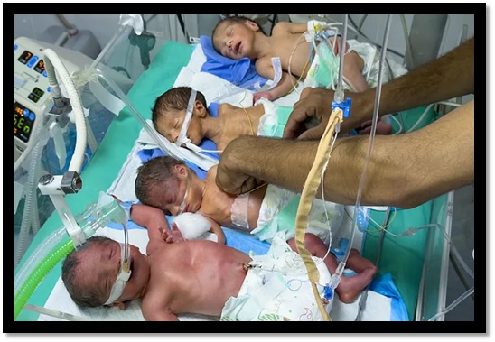 Cuatro niños nacidos prematuros y con signos de malnutrición en Gaza. Ahmad Awad EFE