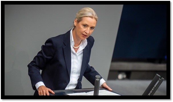 Alice Weidel. Gettyimages.ru