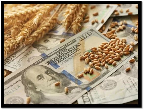 El agro aceleró la liquidación de dólares en enero: ingresó más de u$s1.850 millones, 82% por encima de diciembre :: Asdigitalnews