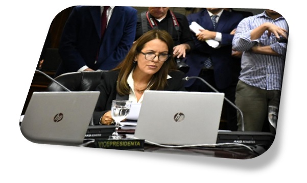 La vicepresidenta del Consejo de la Magistratura, Agustina Díaz Cordero.