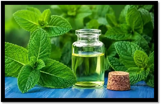 Descubren un remedio natural y económico que podría ayudar a bajar la presión arterial alta en solo 20 días :: Asdigitalnews