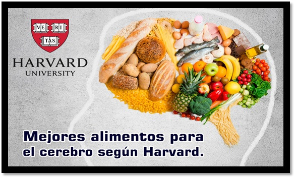 Los 7 mejores alimentos para el cerebro según Harvard :: Asdigitalnews