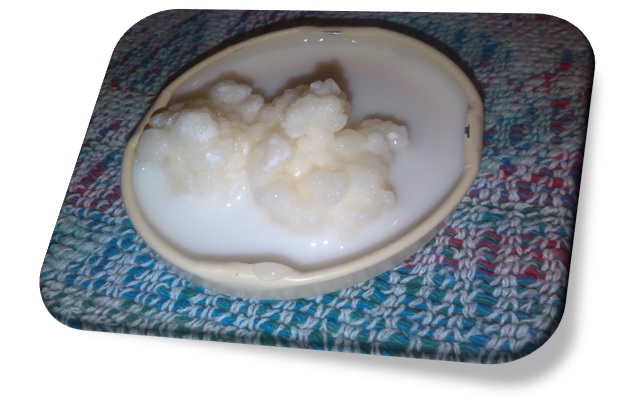 Los alimentos fermentados son considerados como los mejores alimentos para el intestino y el cerebro, aquí tenemos el kéfir.