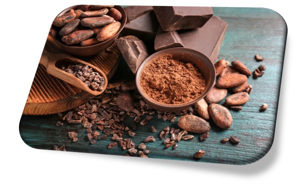 El chocolate de cacao es el mejor alimento para el cebro por su contenido subcrónico.