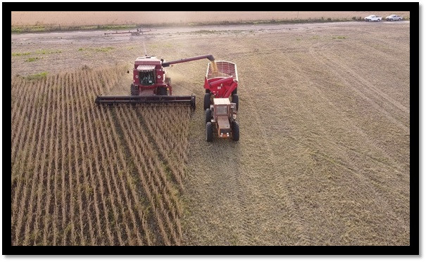 Estadísticas revelan que la provincia logró el mejor rendimiento agrícola de los últimos 25 años :: Asdigitalnews