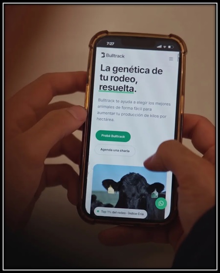 La muestra de pelo permite reunir datos genéticos para decidir qué toros usar y qué vacas conservar (Gentileza Bulltrack)